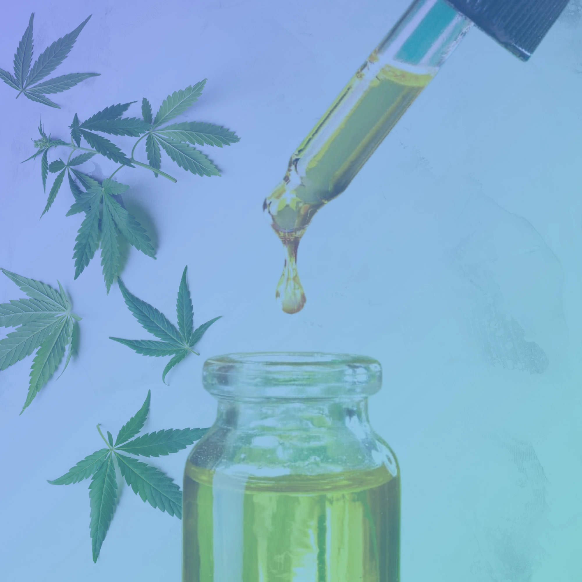 synthetic cannabinoids