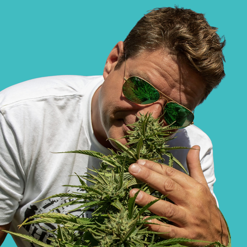 Arjan Roskam - Green House Seeds Co